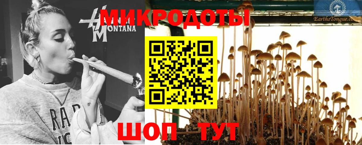 Галлюциногенные грибы MAGIC MUSHROOMS Бор