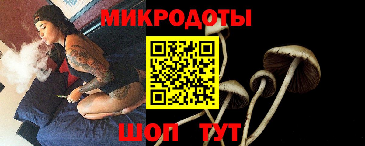 Бор  Псилоцибиновые грибы Magic Shrooms  где купить наркотик  Галлюциногенные грибы мицелий  Вход с VPN 